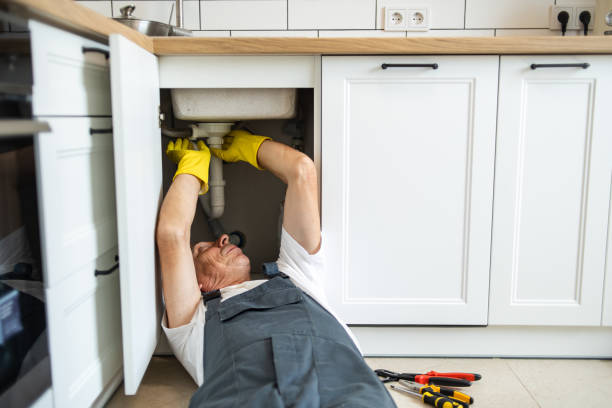 Best Plumbing Inspection Services  in Manheim, PA